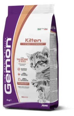 Kitten