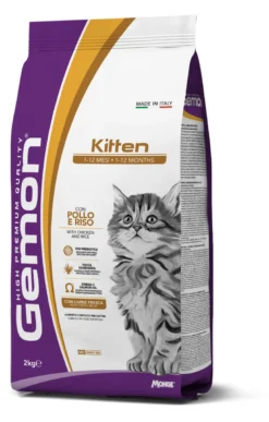 Kitten