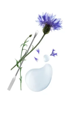 Klorane Siero Risveglio Tonificante al Fiordaliso Bio e acido ialuronico di origine vegetale 50ml