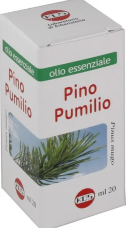 KOS Pino Pumilio