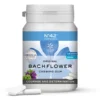 Lemon Pharma Gomme Da Masticare N.42 Ai FIori DI Bach Fiducia In Se Stessi 60g