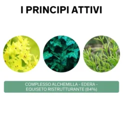 Lierac Phytolastil Soluté Concentrato Gel Correzione Smagliature 75 ml