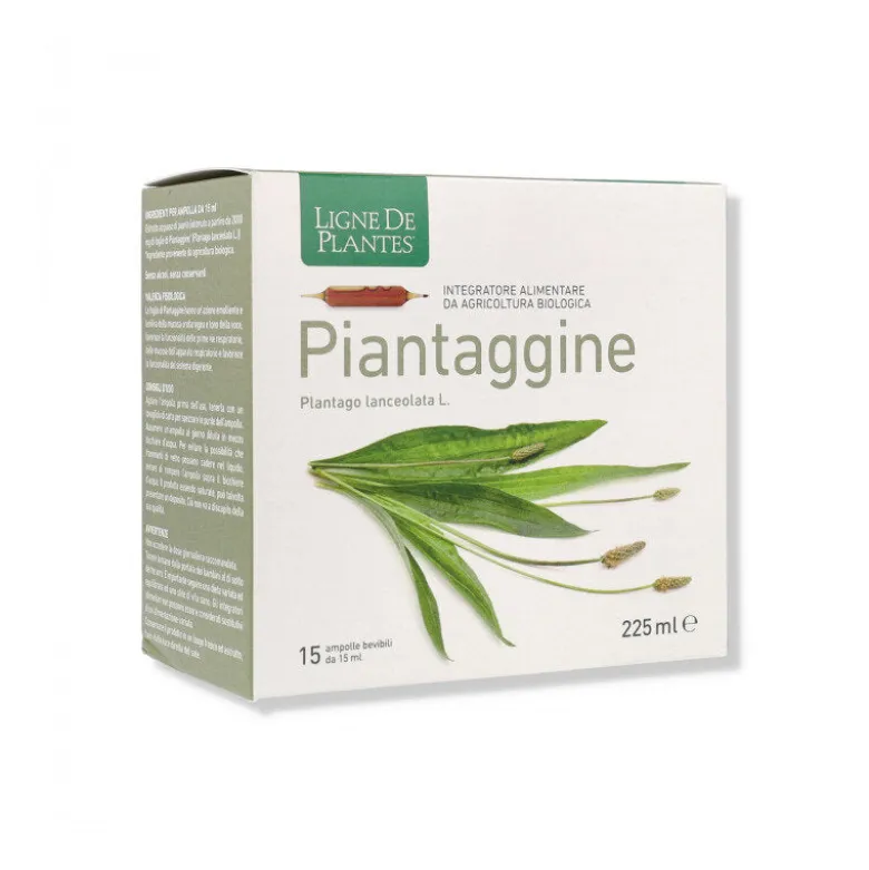 Ligne De Plantes Piantaggine Bio 15 Ampolle
