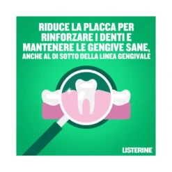Listerine Difesa Denti E Gengive Collutorio 250ml