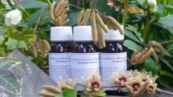 LVS 42S Fucus Vesiculosus Compositum 60ml