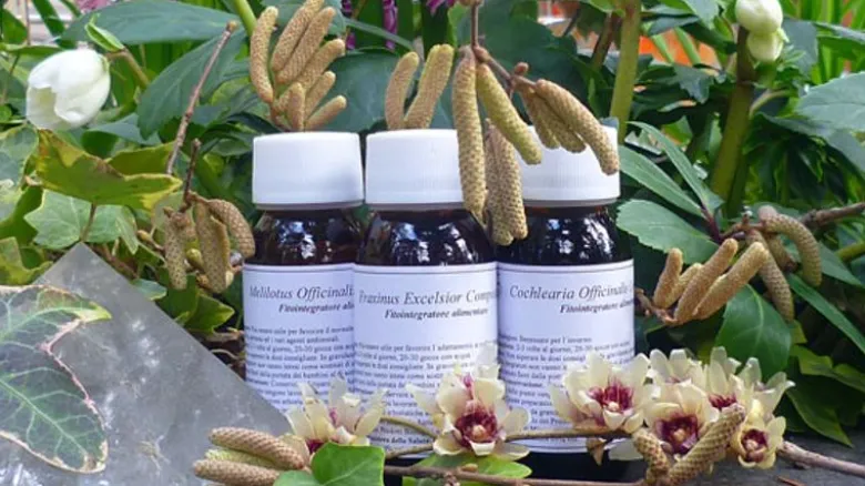 LVS 42S Fucus Vesiculosus Compositum 60ml