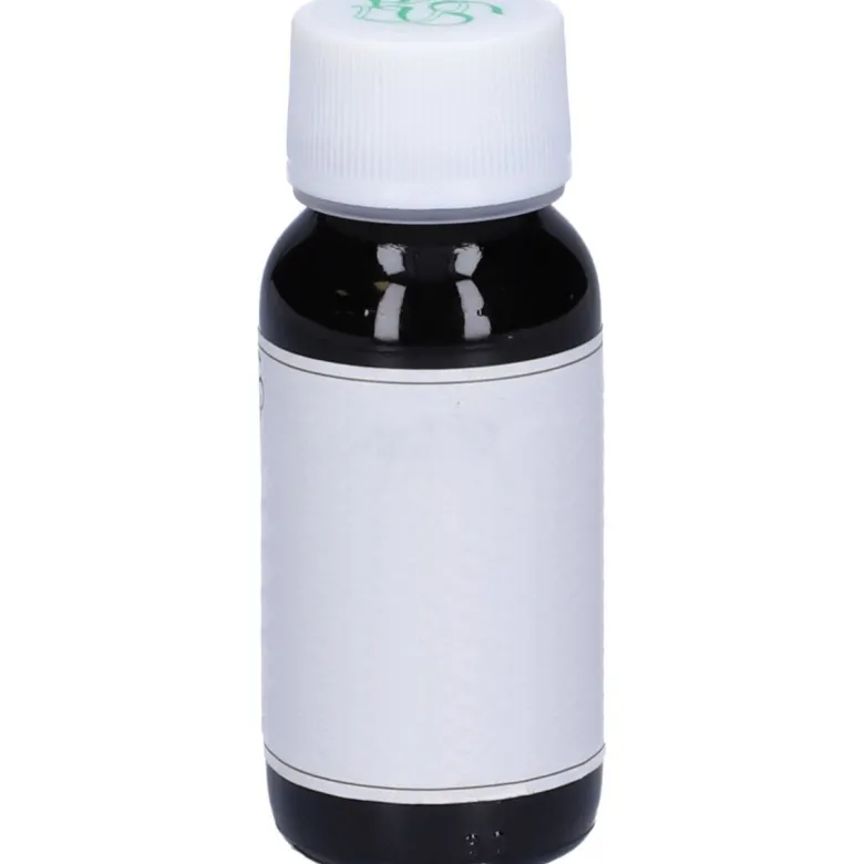LVS 42S Fucus Vesiculosus Compositum 60ml