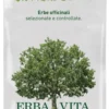 Maca Polvere 100 g