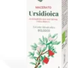 MACERATO Ursidioica Arctostaphylos uva-ursi Spreng.