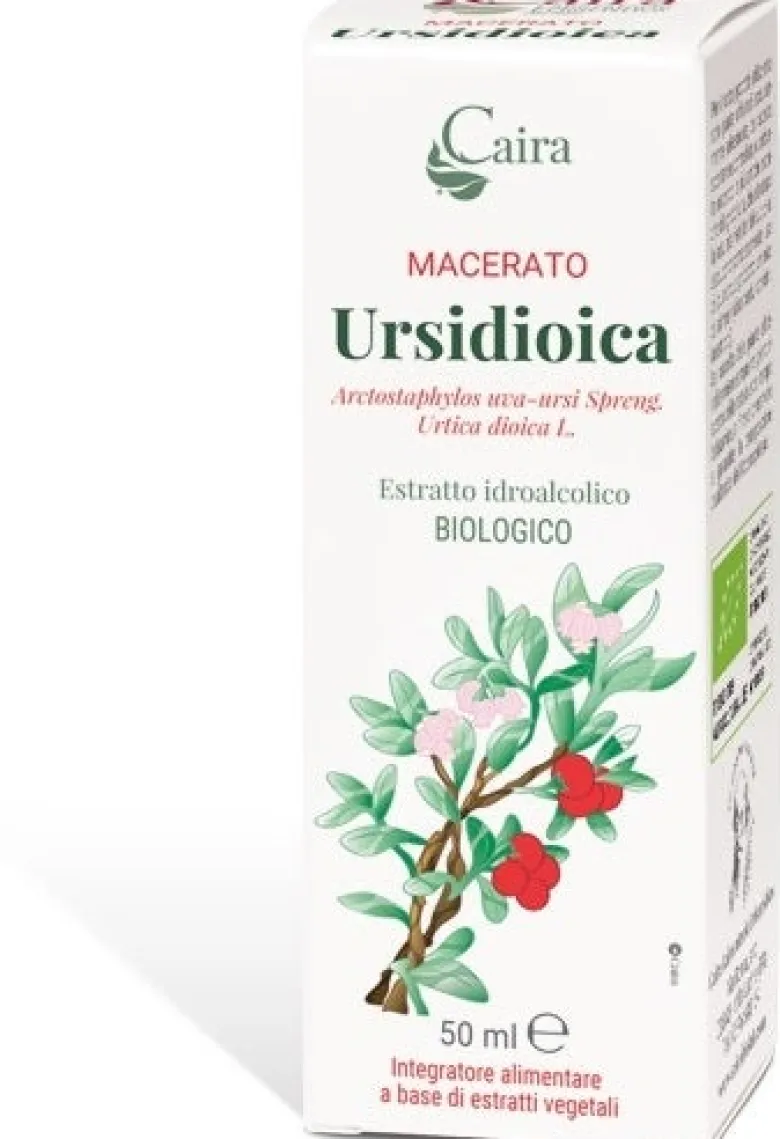 MACERATO Ursidioica Arctostaphylos uva-ursi Spreng.