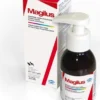 Magilus