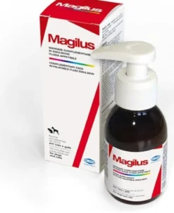 Magilus