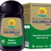 Marcus Rohrer Chlorella Organ