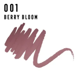 Max Factor Ombretto In Stick Priyanka 001 Berry Bloom