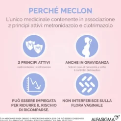 Meclon Soluzione Vaginale 5 flaconi 130ml