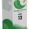 Meridian Flowers Remedy MFR 13