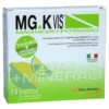 Mg K Vis Magnesio E Potassio Creatina gusto lemonade 15 bustine