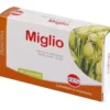 Miglio