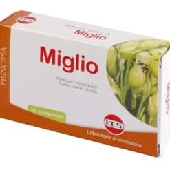 Miglio