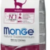 Monge Indoor