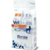 Monge VetSolution Renal Linea Veterinaria Cibo Secco Gatti 400g