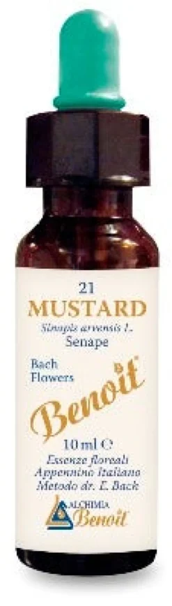 MUSTARD