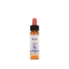 Natur Elm Essenza 10ml