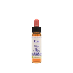 Natur Elm Essenza 10ml