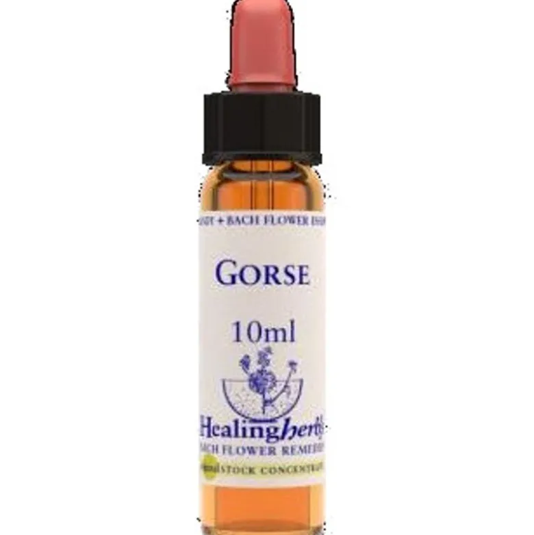 Natur Fiori Di Bach Healing Herbs Gorse 10ml