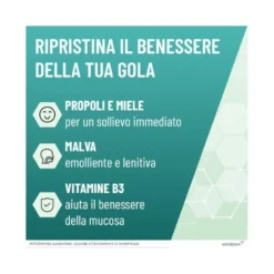 Neoborocillina Propolmiele Spray 20ml