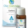 Olio Essenziale Canfora