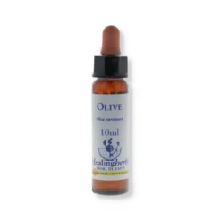 OLIVE ESSENZA 10ML
