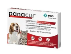 Panacur Compresse Forte 500 Mg Per Uso Orale Per Cani E Gatti 10 Compresse