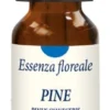 PINE