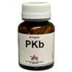 PKB 80 Capsule
