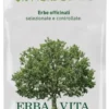 POLV DORIENTE 100G