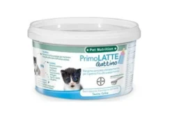 Primolatte gattino