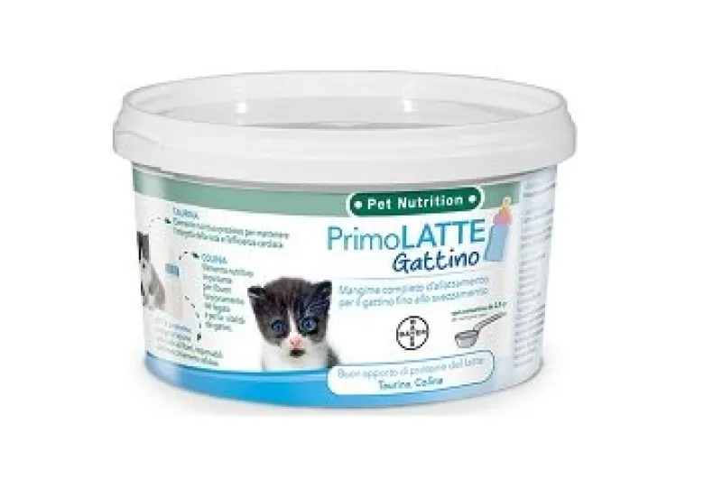 Primolatte gattino