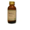 Primula
