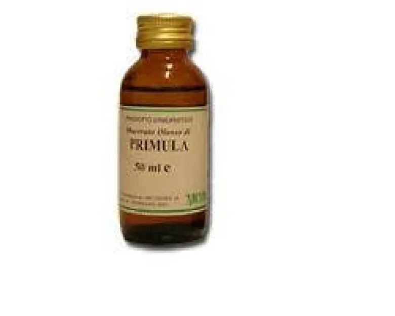 Primula