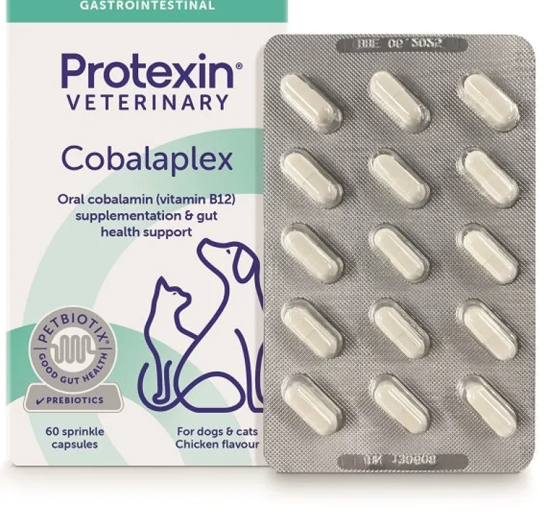 Protexin Veterinary Cobalaplex Integratore per Cani e Gatti 60 Capsule