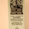 Quintessenza 10 Lavanda 10ml