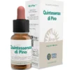 QUINTESSENZA PINO ECOSOL GTT