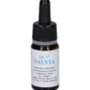 Quintessenza Qe17 Salvia 10ml