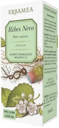 RIBES NERO