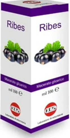 Ribes Nigrum Macerato Glicerico Gocce 100ml - Antiossidante Naturale
