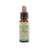 ROCK WATER 10ML DI LEO