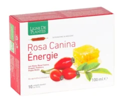 Rosa Canina Energy integratore alimentare utile come antiossidante 10 ampolle
