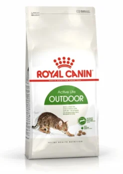 Royal Canin Active Life Outdoor Alimento Secco Per Gatti Adulti 400g