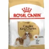 ROYAL CANIN Cavalier King Charles